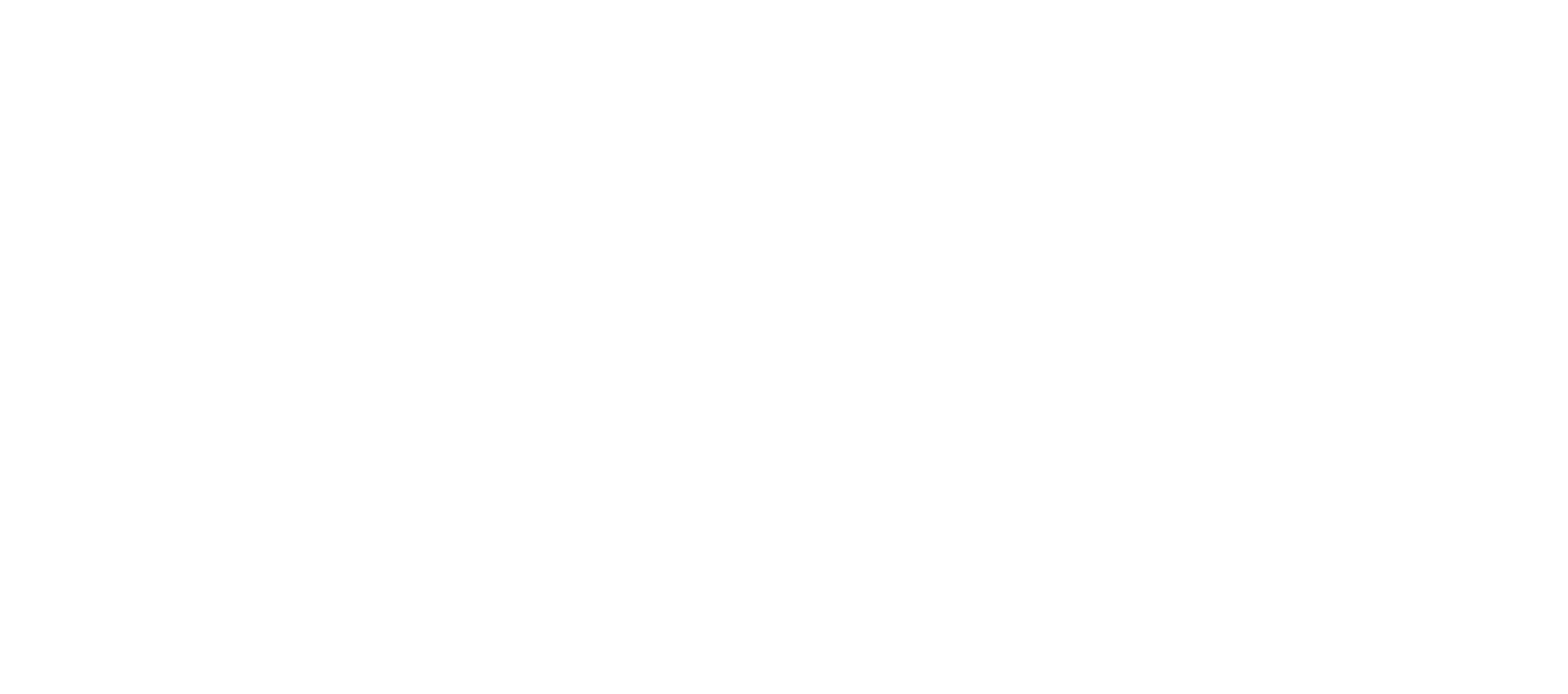 BrightFlow Logo